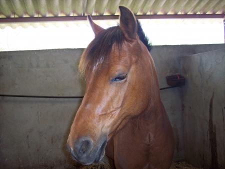 mon amour