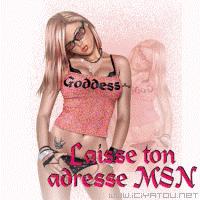 msn